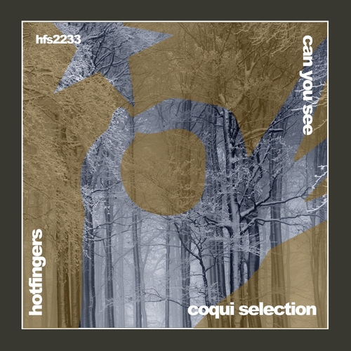 Coqui Selection - Can You See [HFS2233]